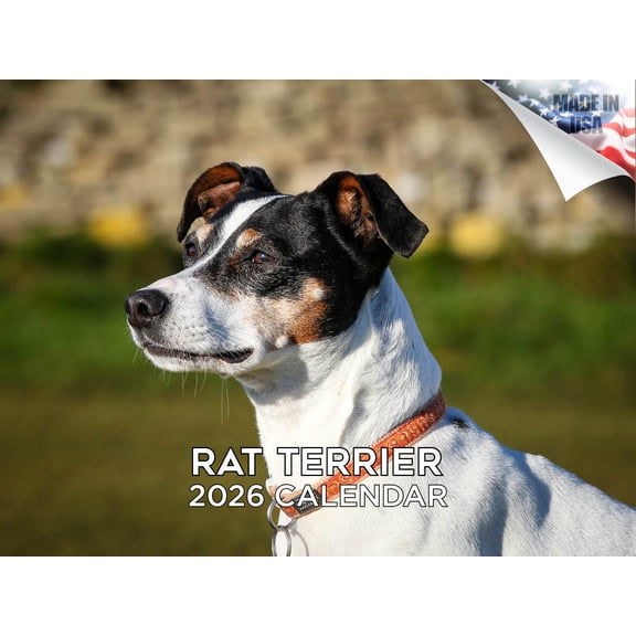 2025 2026 Rat Terrier Calendar - Dog Breed Monthly Wall Calendar - 12 x 18 Open - Thick No-Bleed Paper - Giftable - Made in USA