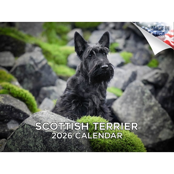 2025 2026 Scottish Terrier Calendar - Dog Breed Monthly Wall Calendar - 12 x 18 Open - Thick No-Bleed Paper - Giftable - Made in USA