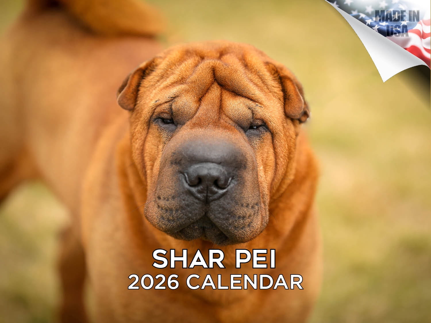 2025 2026 Shar Pei Calendar - Dog Breed Monthly Wall Calendar - 12 x 18 ...