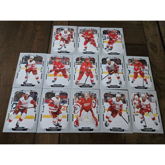 2025-26 O-Pee-Chee OPC Detroit Red Wings Base No SP Team Set  (See Scan for players included)  All Cards Pack Fresh, Hand Collated,