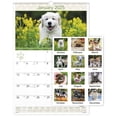 thumbnail image 1 of 2025 AT-A-GLANCE® Puppies Monthly Wall Calendar, 15-1/2" x 22-3/4", Animals, January 2025 To December 2025, DMW16728, 1 of 6
