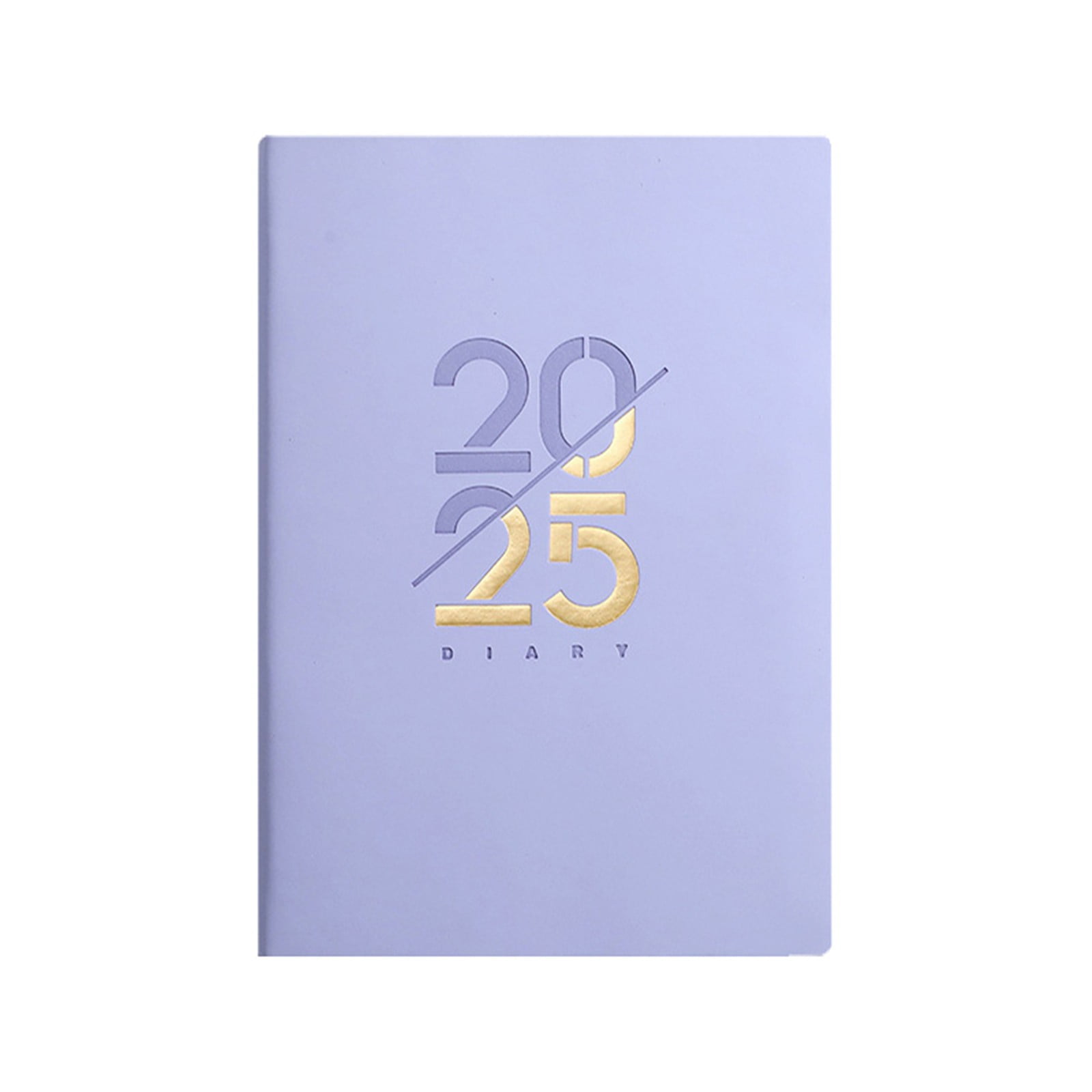 2025 Academic Planner 2025 Monthly Tabs Daily Organizer Twin Wire