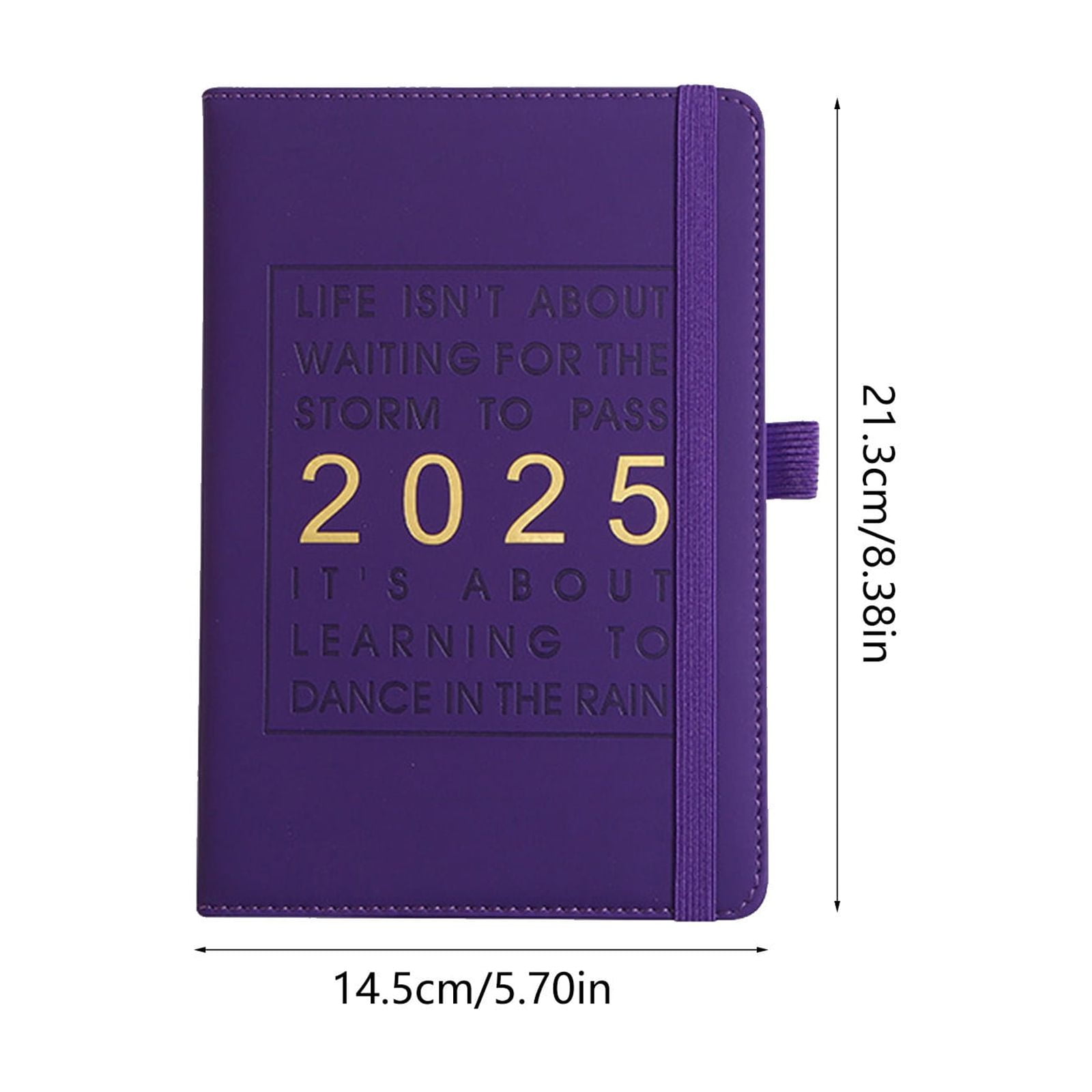 2025 Agenda Book 365 Days Daily Program Management Record Notebook