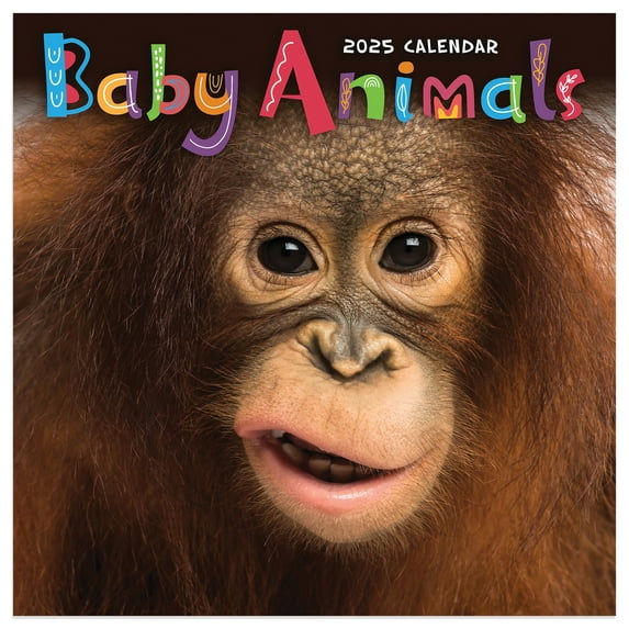 TF Publishing, Baby Animals 2025 Mini Wall Calendar