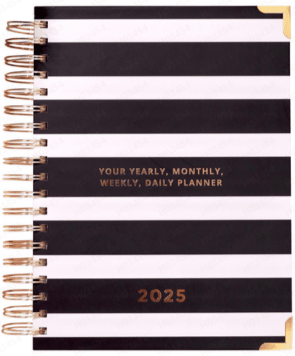 2025 The Budget Planner | 6