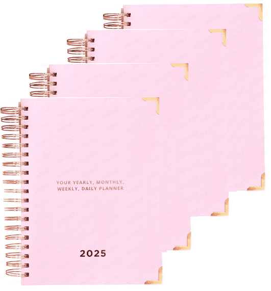 2025 Budget Planner:YOUR YEARLY | MONTHLY | WEEKLY | DAILY 2025 PLANNER ...