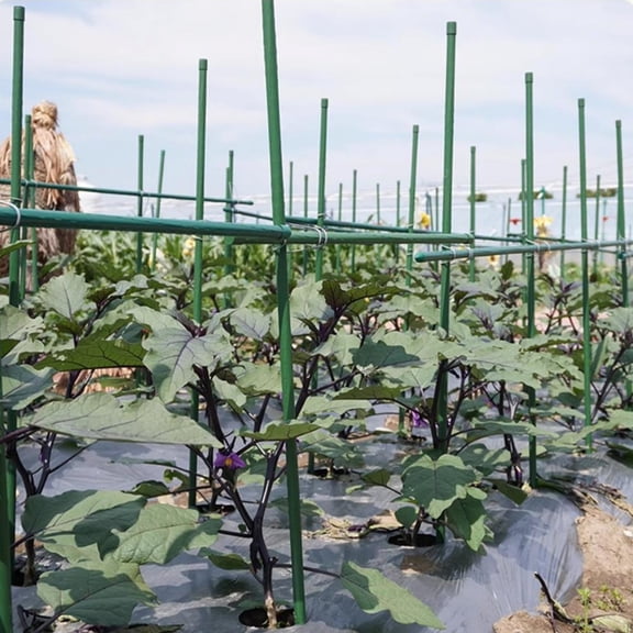 2025 CHOII Garden Stumps,Tomato Stumps,16 Inches,70 Pieces Each,DIY 4-foot,5-foot,6-foot,7-foot,8-foot Plastic-coated Metal Plant Stumps