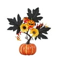 thumbnail image 1 of 2025 & CISIL - Pumpkin Decor,Pumpkins for Decorating,Thanksgiving Decor,Fall Centerpieces for Tables,Used for Harvest Fall Table Centerpiece（B), 1 of 8