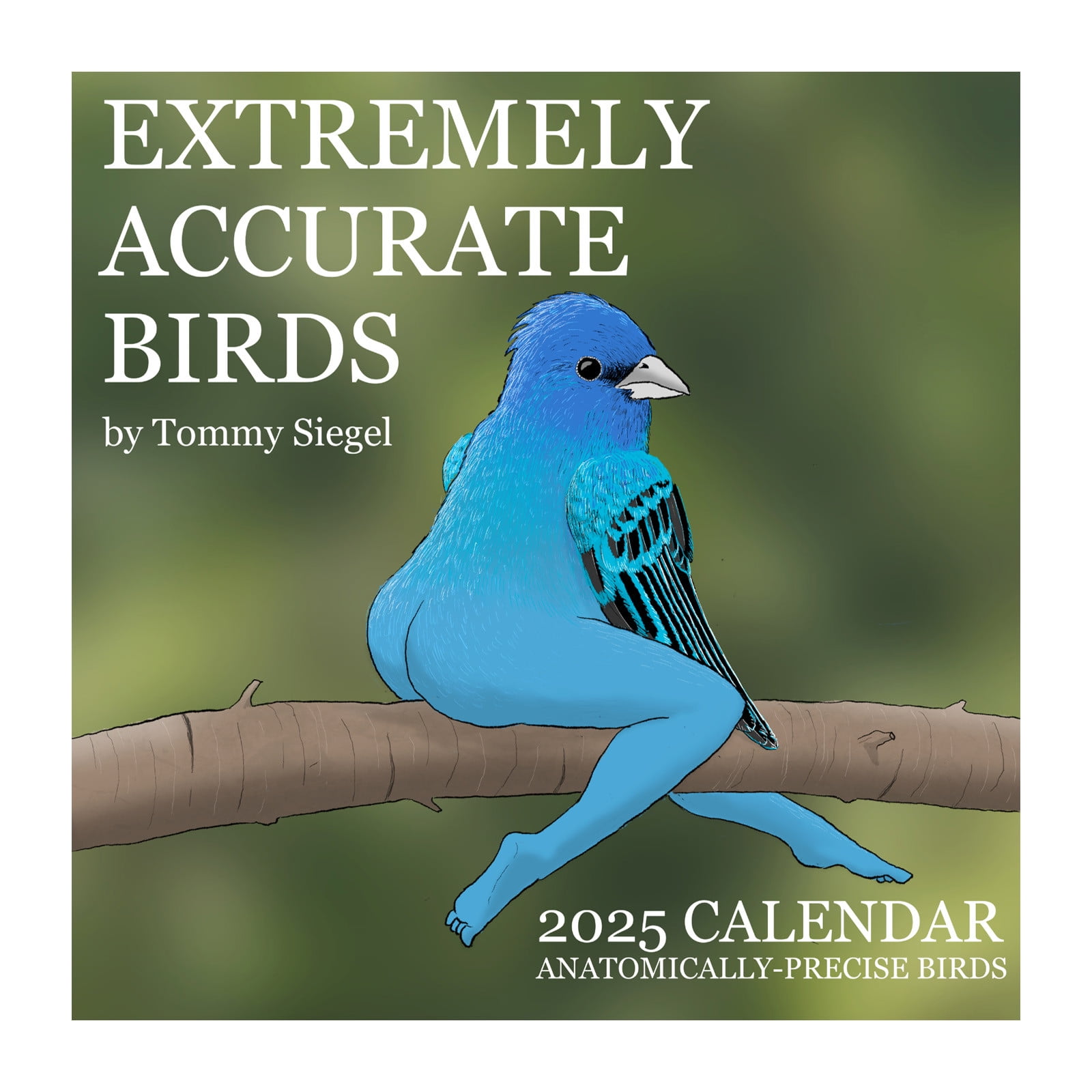 2025 Calendar of Extremely Accurate Birds by Tommy Siegel