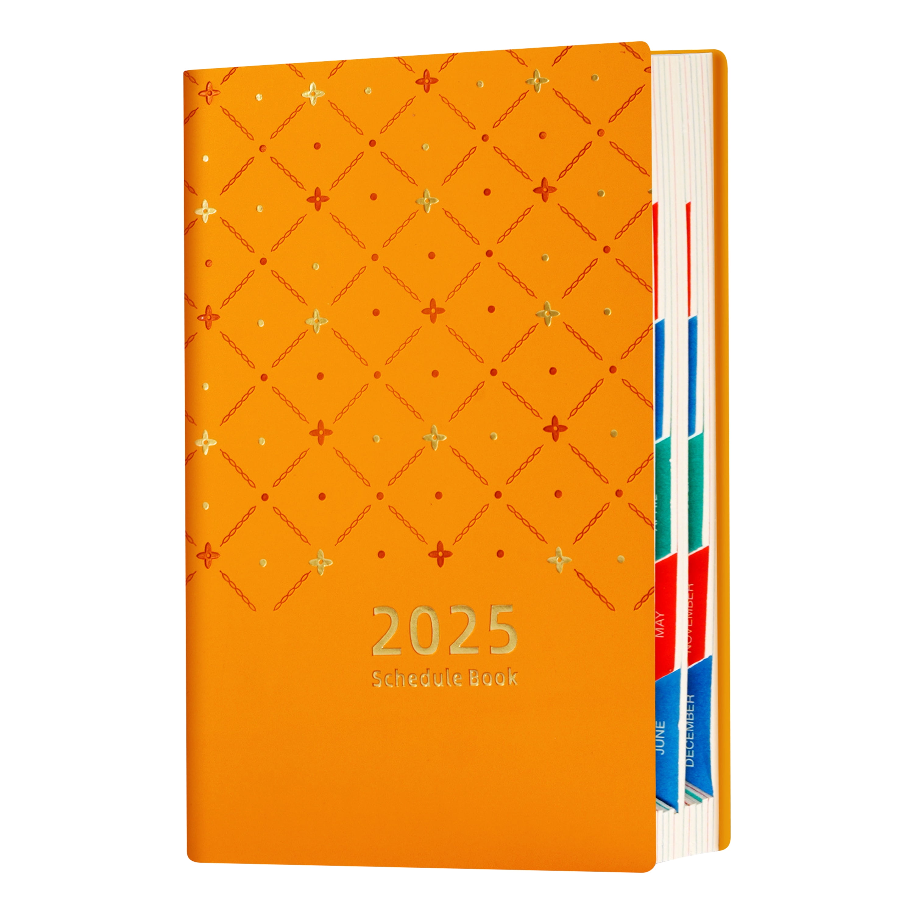 2025 Color Planner Diary Everyday Book Set with Dotted Note Pages