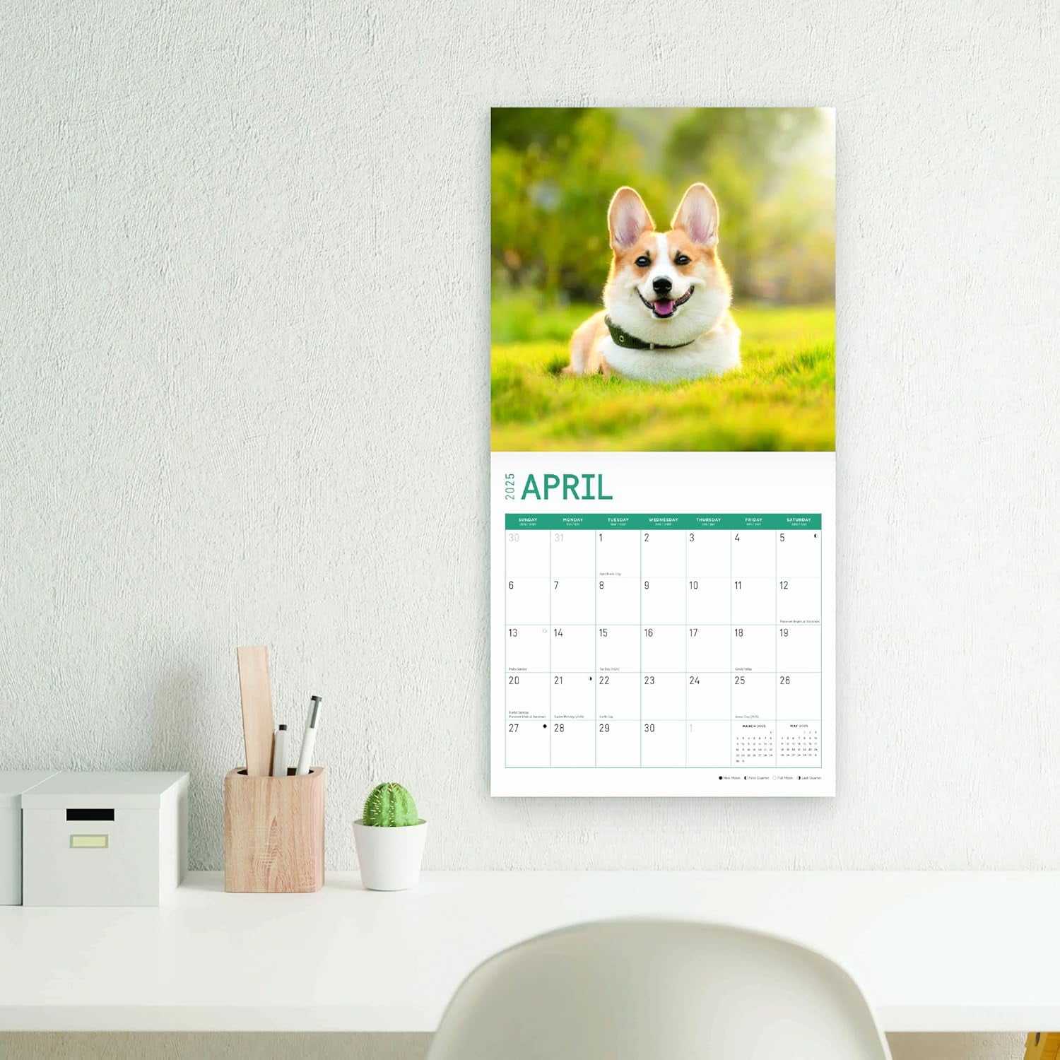 2025 Corgis Monthly Wall Calendar by Bright Day, 12 x 12 Inch Cute Dog Breed Gift
