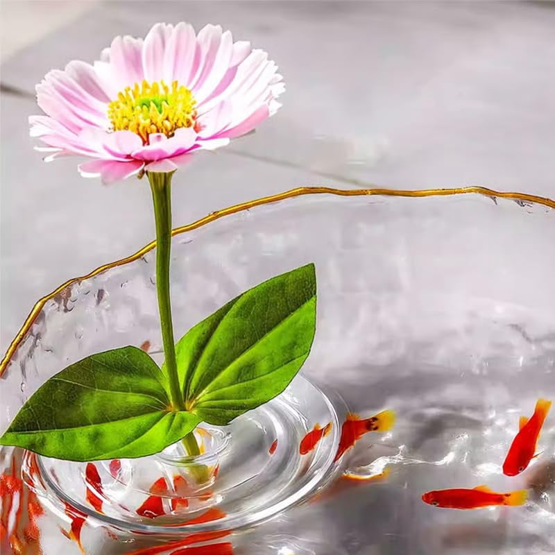 Gallery image with a fresh perspective