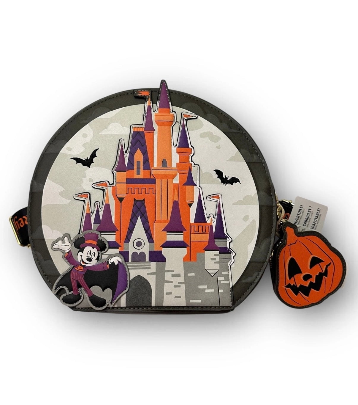 2025 Disney Parks Mickey display picture 1