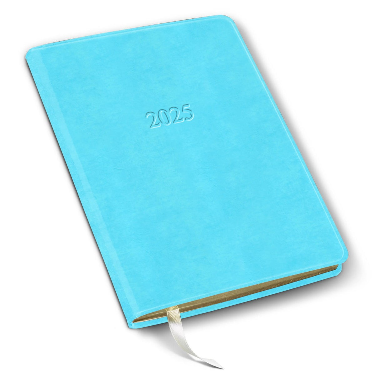 Gallery Leather Desk Weekly Hourly Planner 2025 Acadia Pool 8x5.5