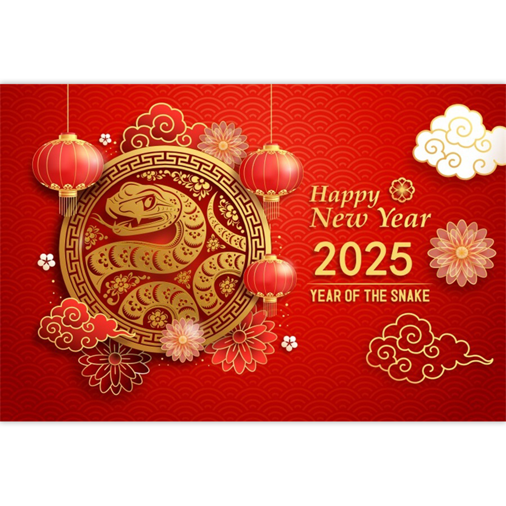 2025 Happy New Year Photography Backdrop Chinese Style Snake Red