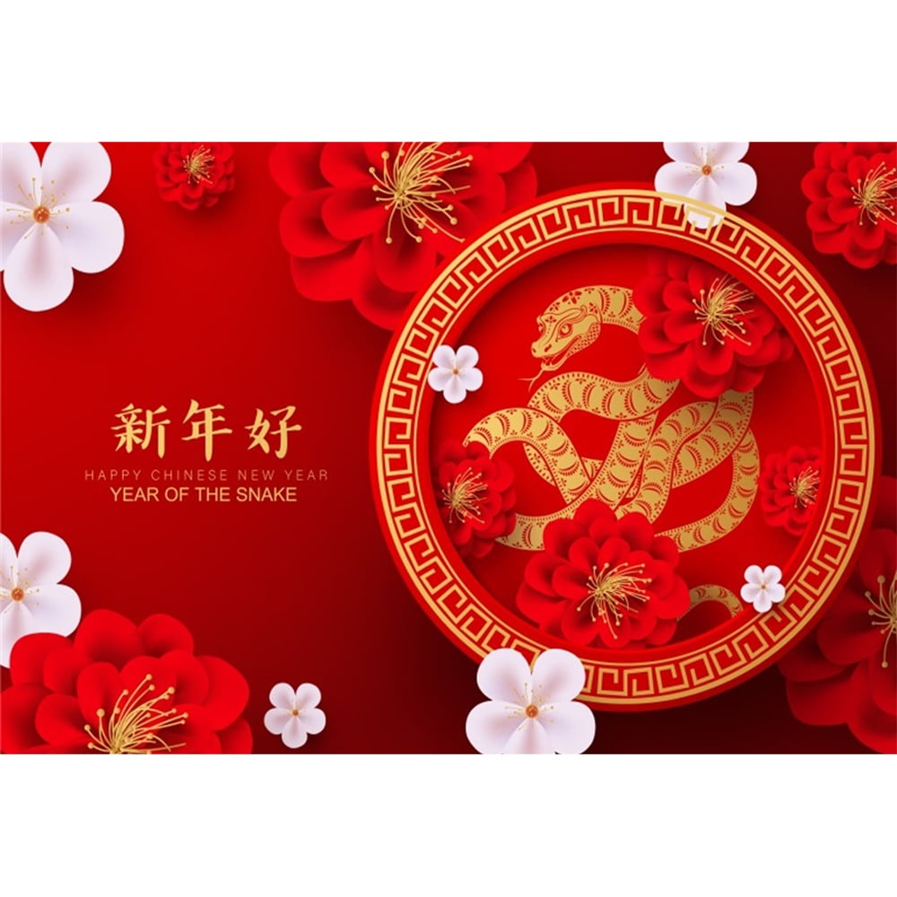 2025 Happy New Year Photography Backdrop Chinese Style Snake Red