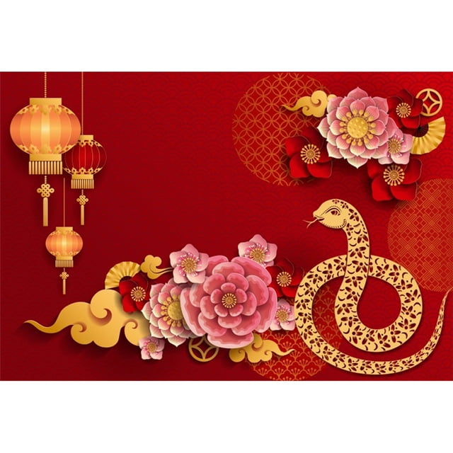2025 Happy New Year Photography Backdrop Chinese Style Snake Red