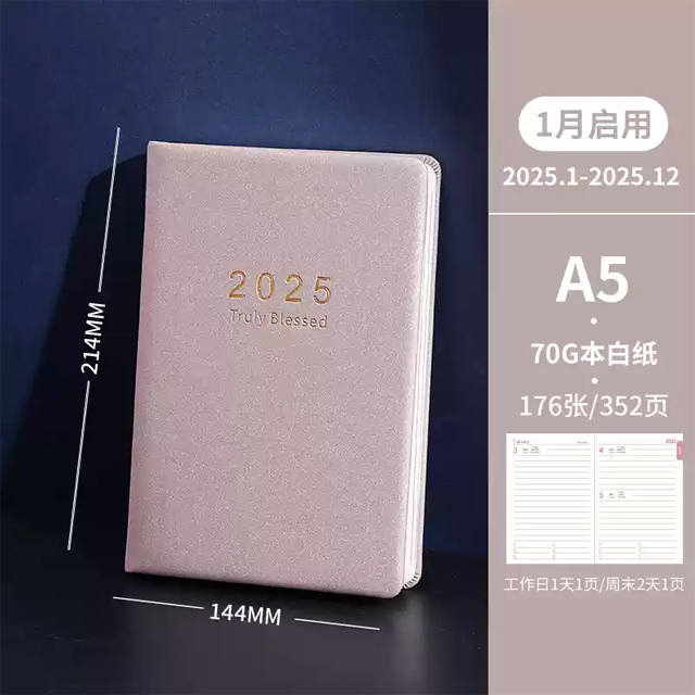 2025 Luxury A5 Size Journal Notebook Weekly Monthly Yearly Planner 365 ...