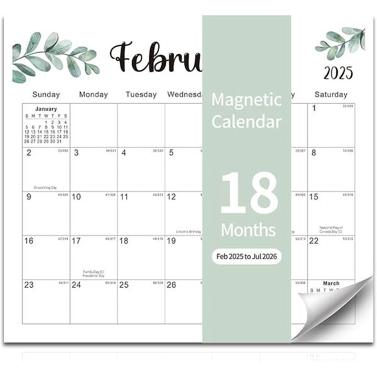 2025 Magnetic Fridge Calendar 18 Monthly Magnetic Calendar for ...