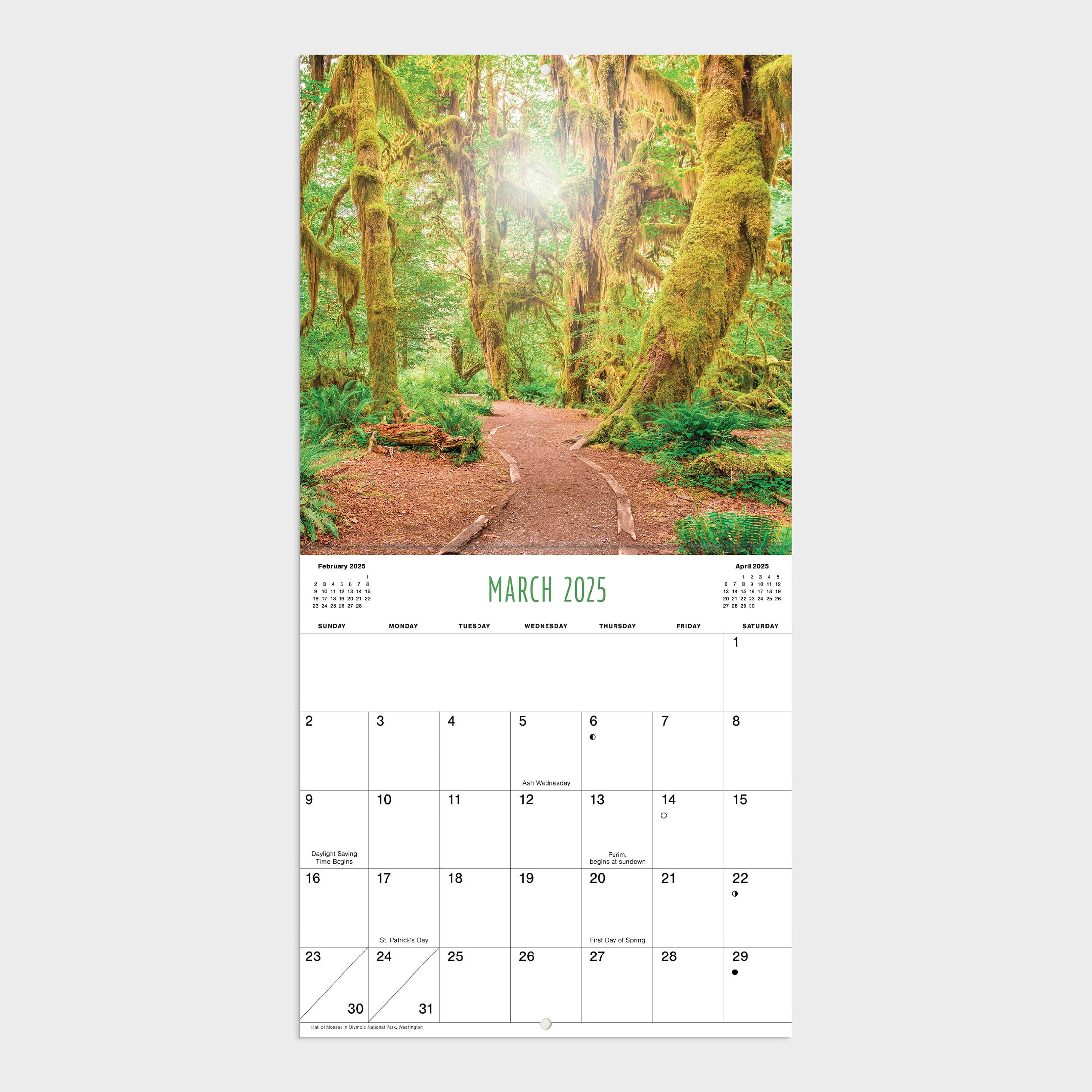 2025 Mini Wall Calendar - National Parks - 7"x7" by Dayspring