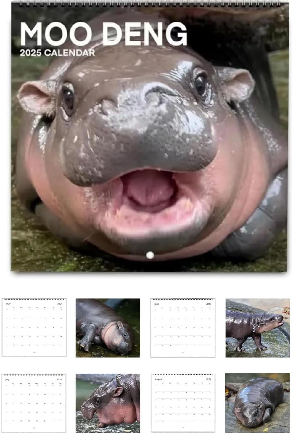 2025 Moo Deng Calendar, 2025 Moo Deng Pygmy Hippo Hangable Monthly Wall