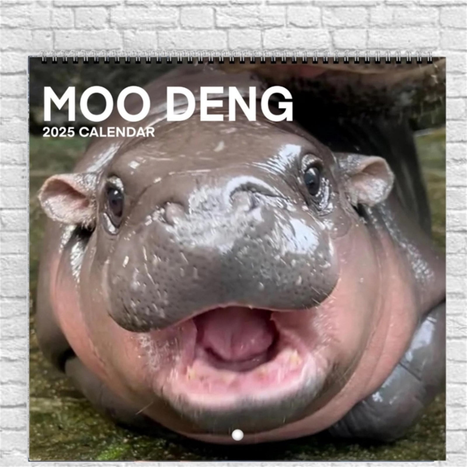 2025 Moo Deng Calendar, 2025 Moo Deng Pygmy Hippo Hangable Monthly Wall