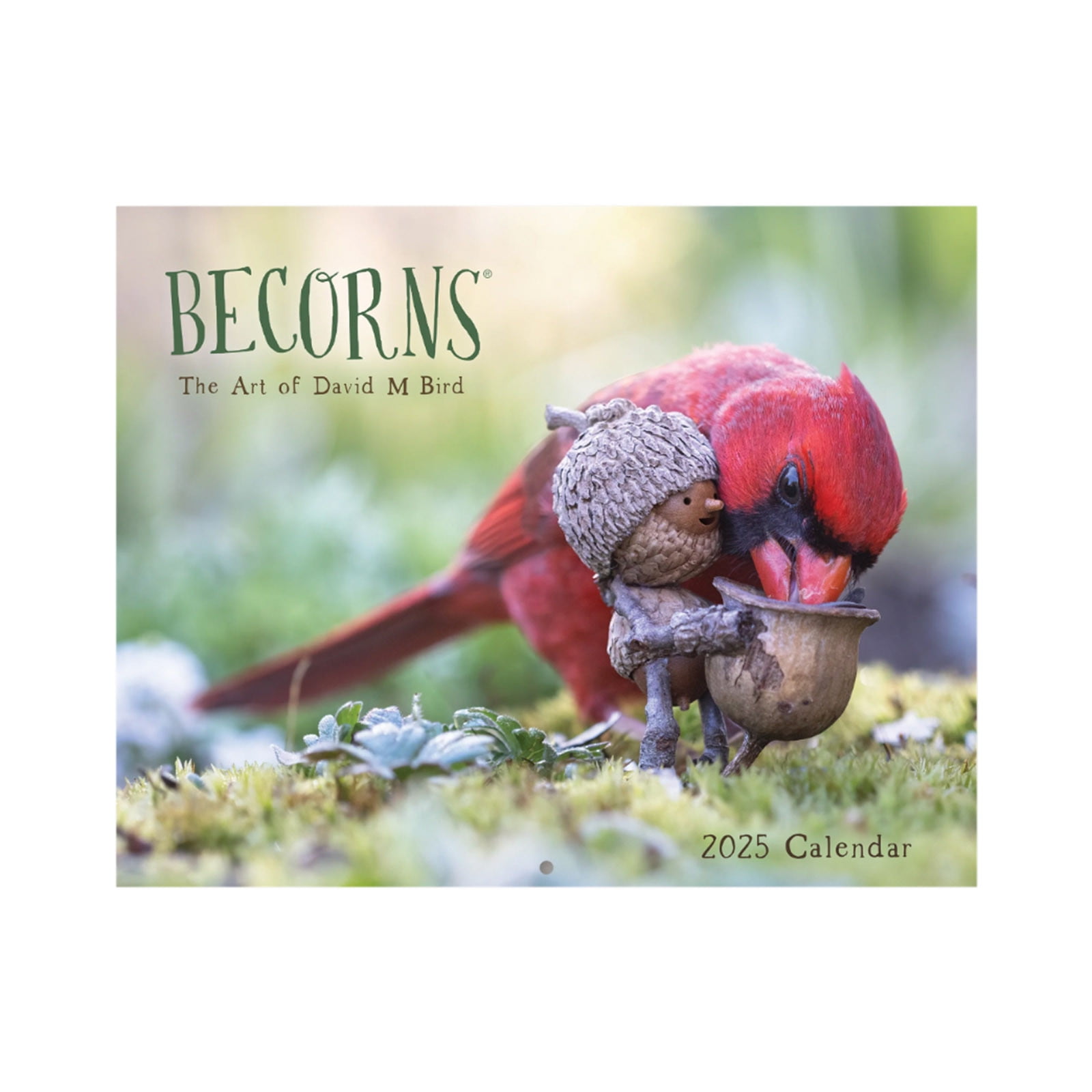 2025 Nature & Environment Themed Calendar with Stunning HighRes Photos