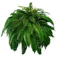 thumbnail image 1 of 2025 New Artificial Fern for Outdoors Ferns Large Artificial Ferns for Front Porch Halls Indoors Gardens Churches Window Box Decorating, 1 of 4