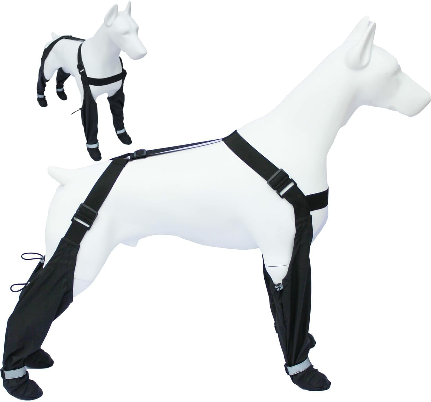 Inoe Closest Reptile Store Near Me Inoe Can You Wash Dogs In Human