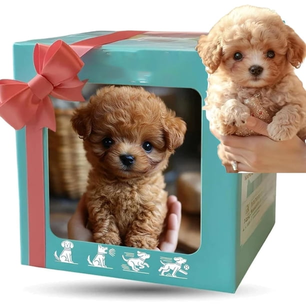 2025 New Robot Dog, Robot Puppy That Acts Like A Real Puppy, Nicoo