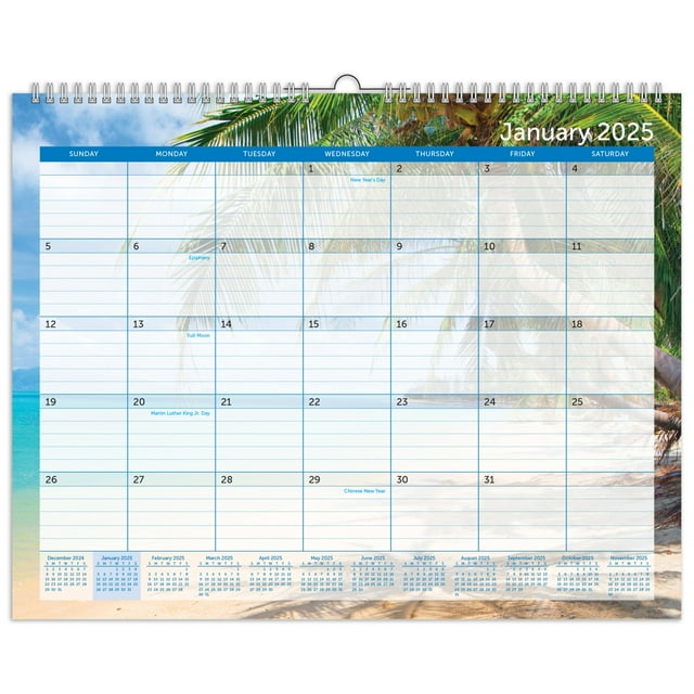 2025 Office Depot® Brand Monthly Wall Calendar, 15" x 12", Paradise