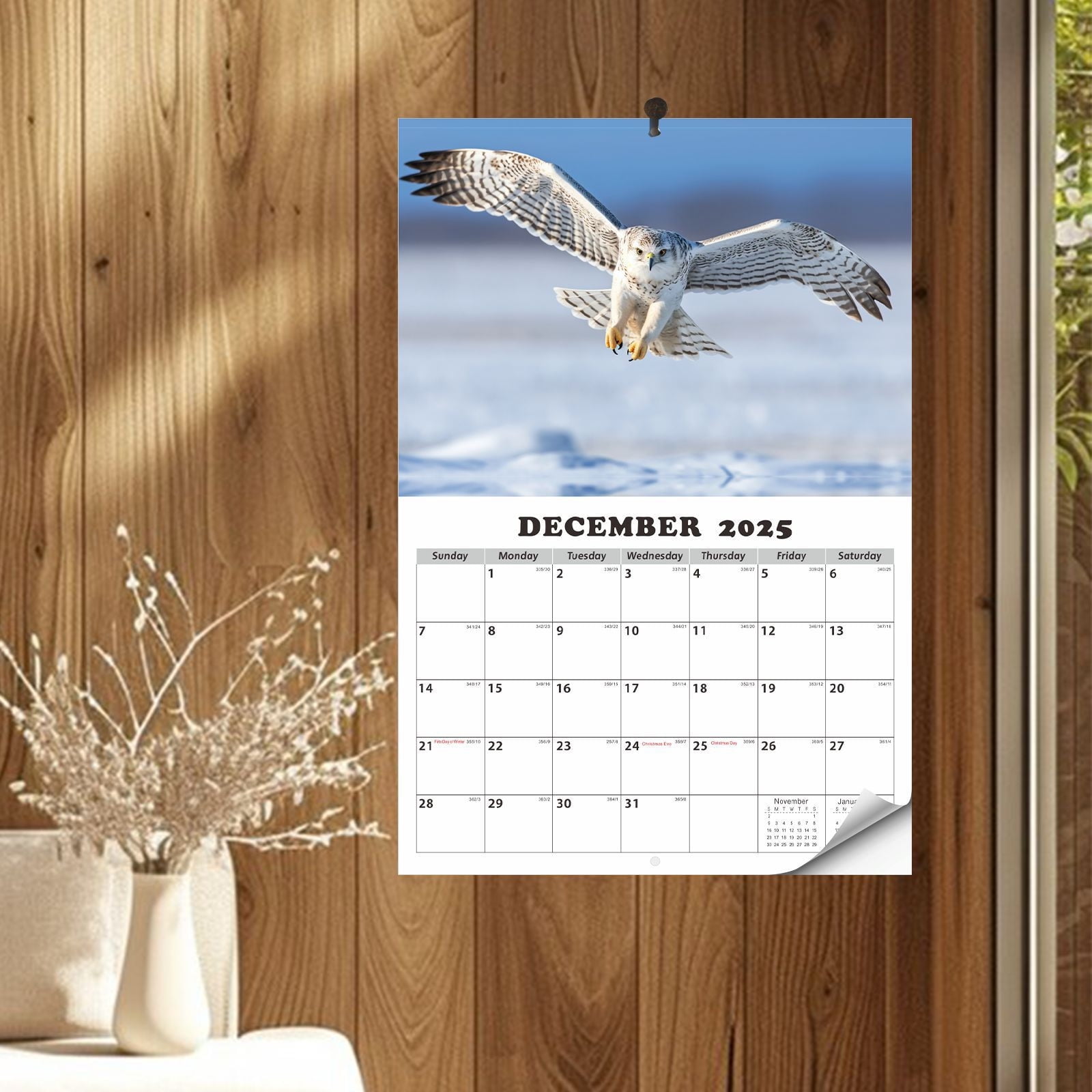 2025 Owls Calendar Birds Wildlife Monthly Wall Calendar 16.5" x 11