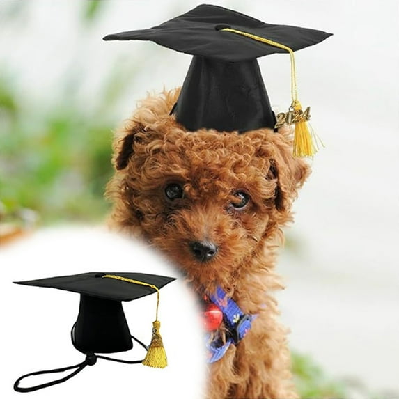 2025 Pet Graduation Cap â Adjustable Black Doctoral Hat with Tassel for Small & Medium Dogs/Cats, Photo Prop & Party (Polyester)