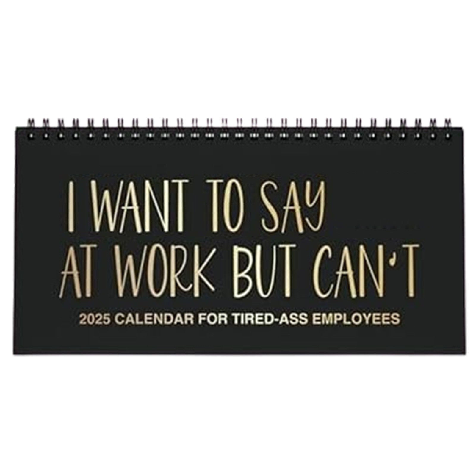 2025 Planner Humor Work Swear Affirmations Desk Calendar 2025 Funny