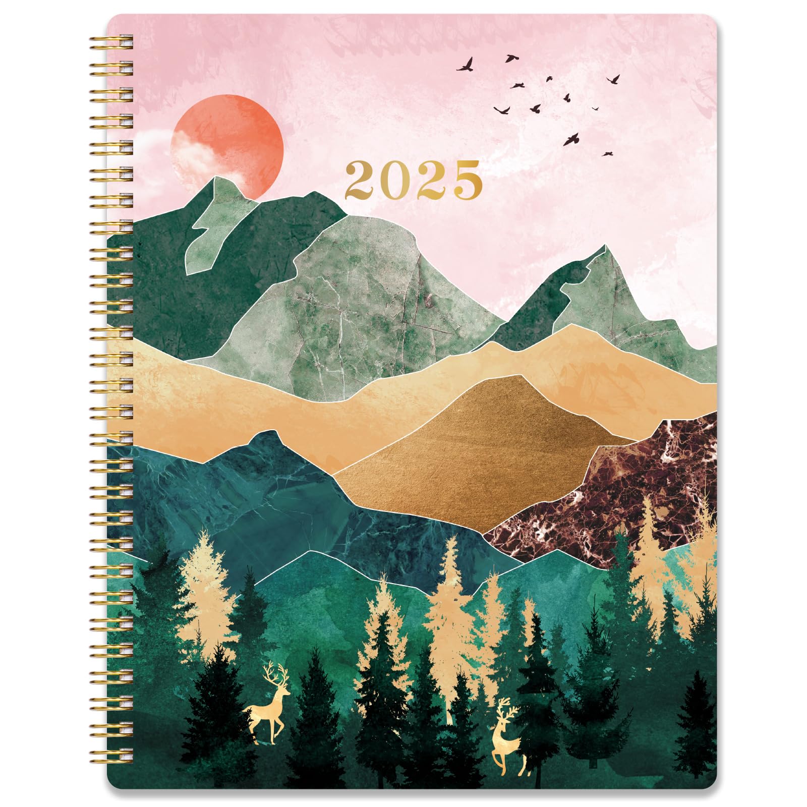 2025 Planner Planner 2025, Jan. 2025 Dec. 2025, 8'' x 10'' 2025