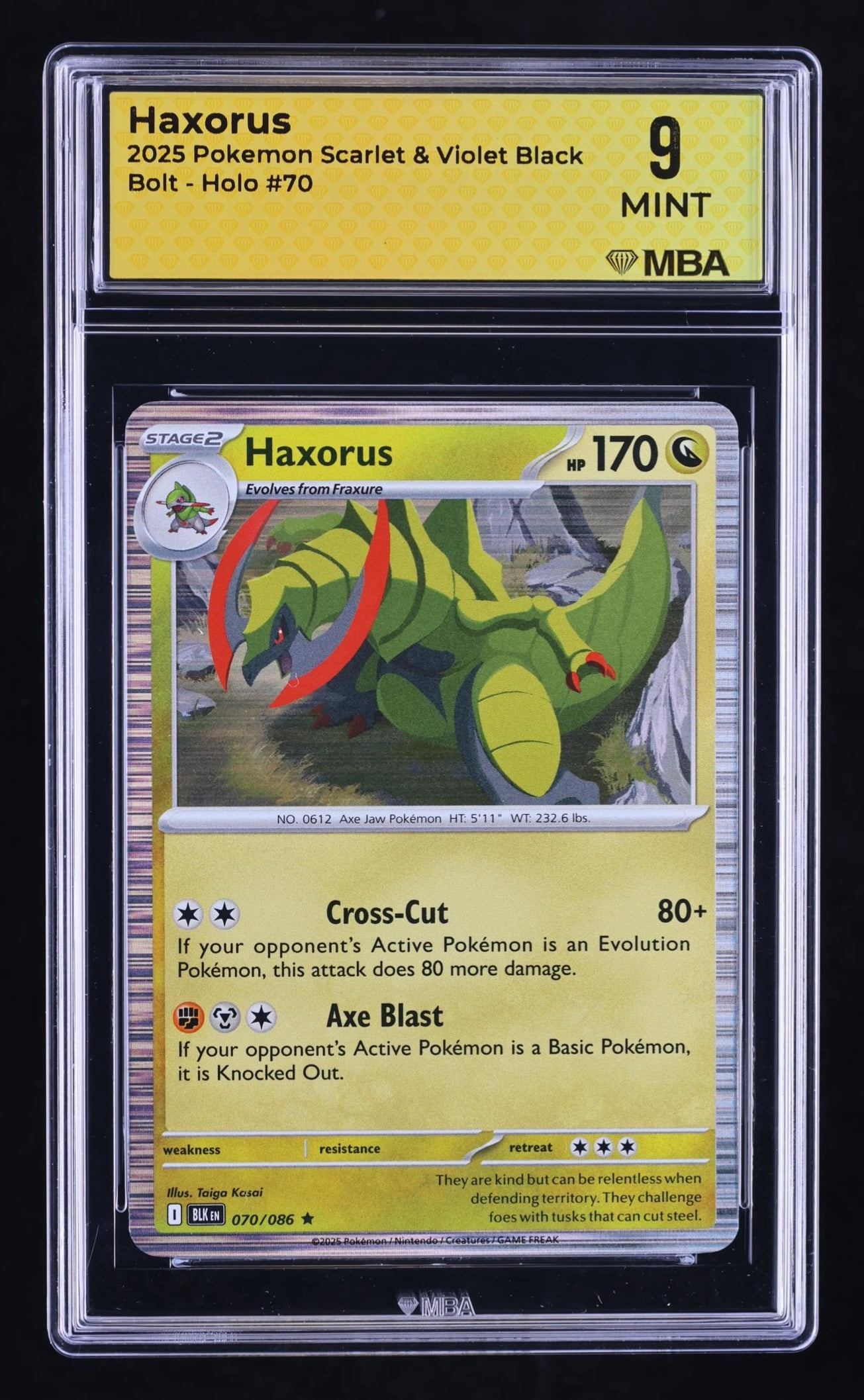 pokemon card pack opening How To Open Pokmon Cards Properly: Guide