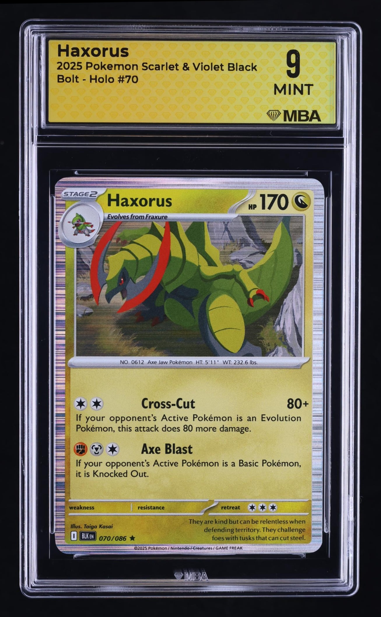pokemon card haxorus Pokemon Booster Box Acrylic Protective Case! Durable And Magnetically –  LOGANS POKESHIP main image 1