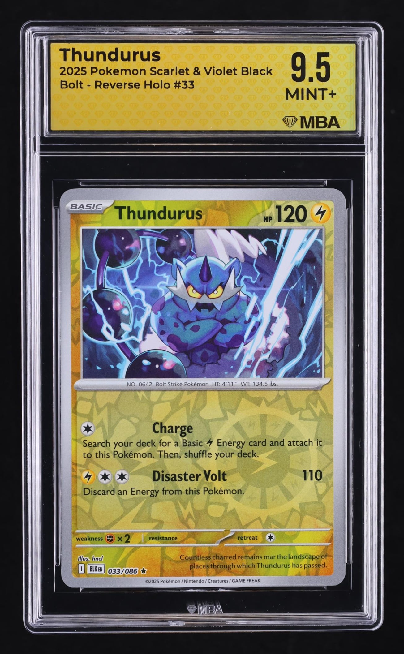 pokemon sword and shield booster boxes Sword & Shield Booster Box Case - SWSH01: Sword & Shield Base Set