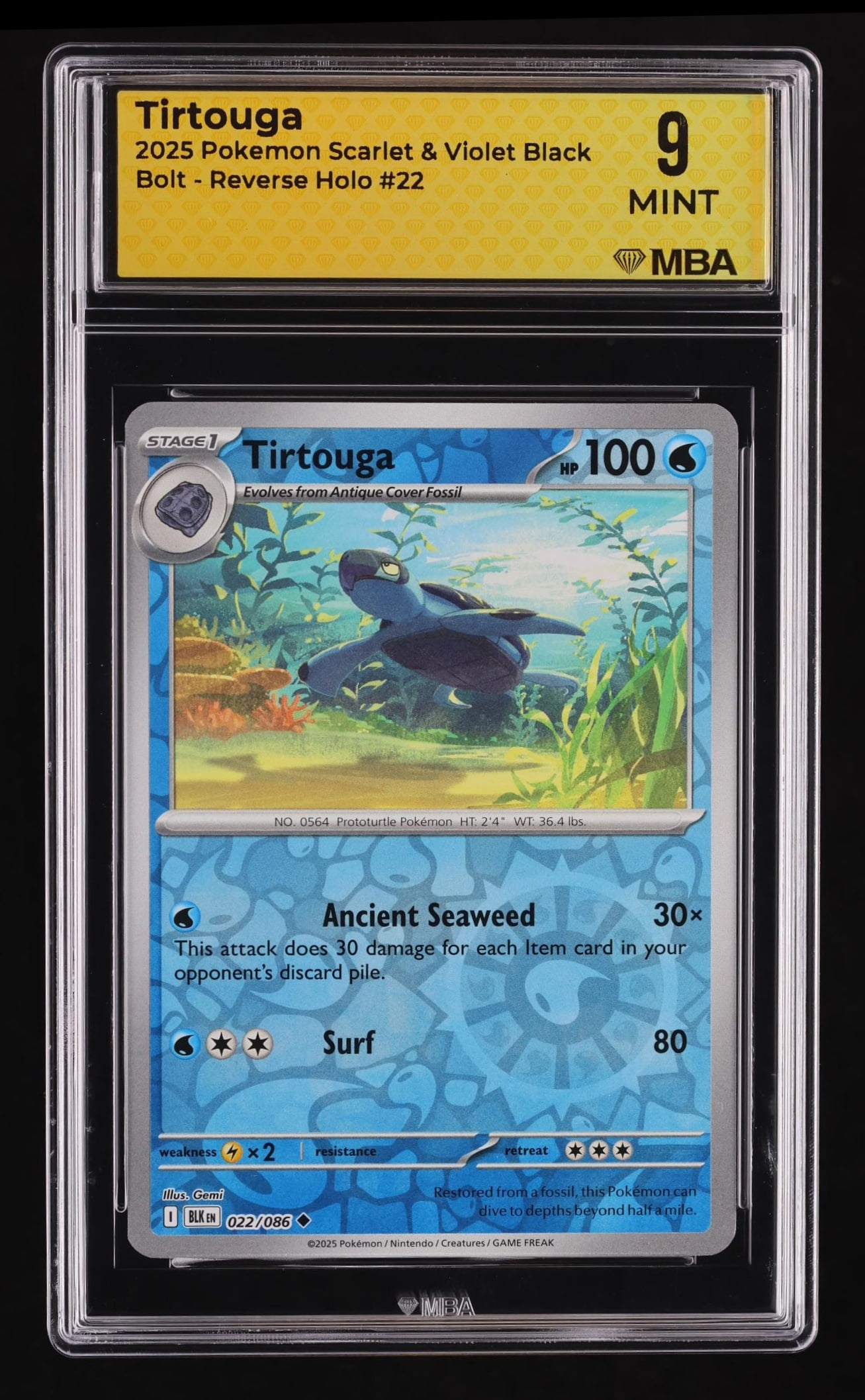 pet pokemon card Pokepet Starter Pack – Poke Pet Shop main image 0