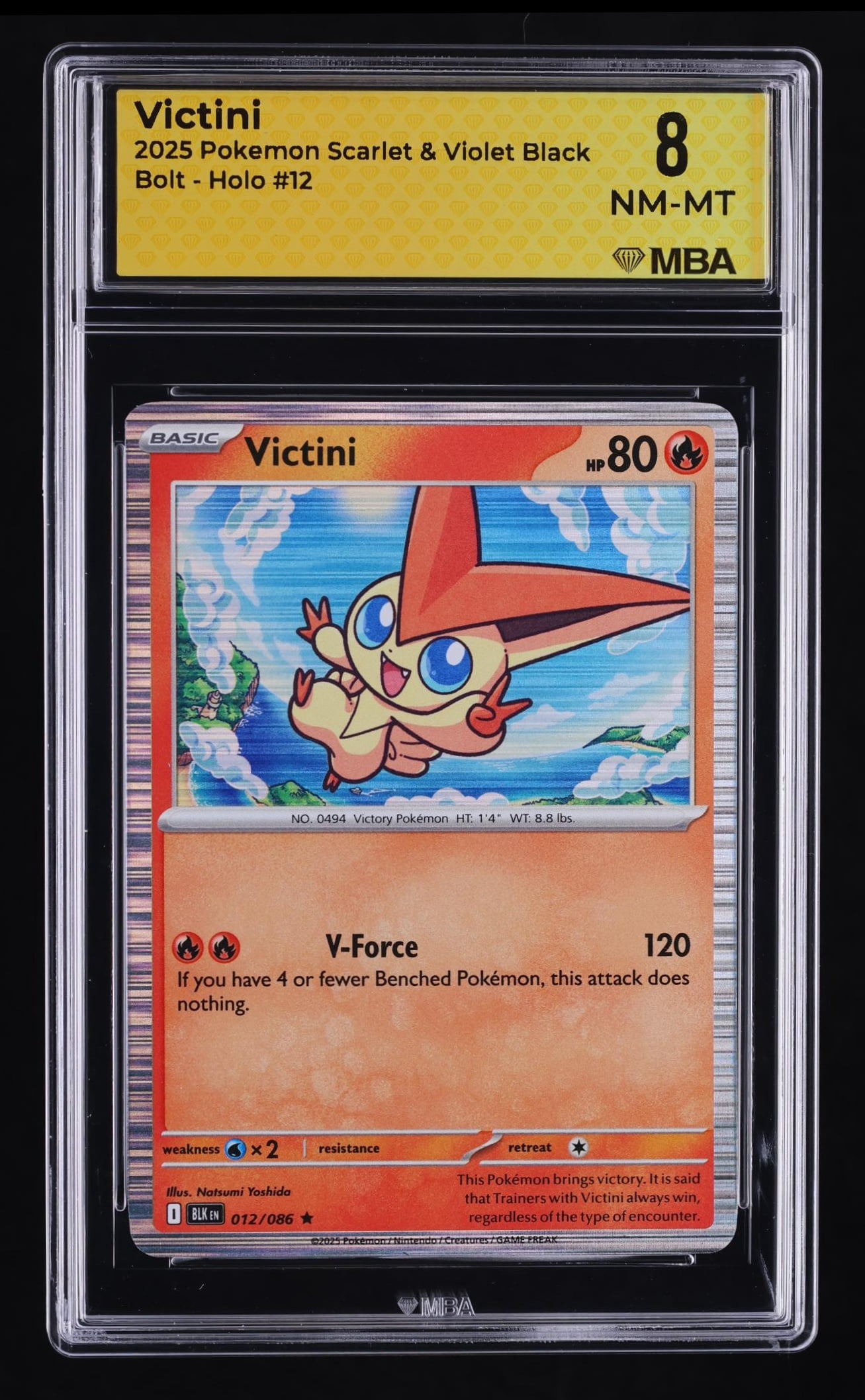 Black Pokemon