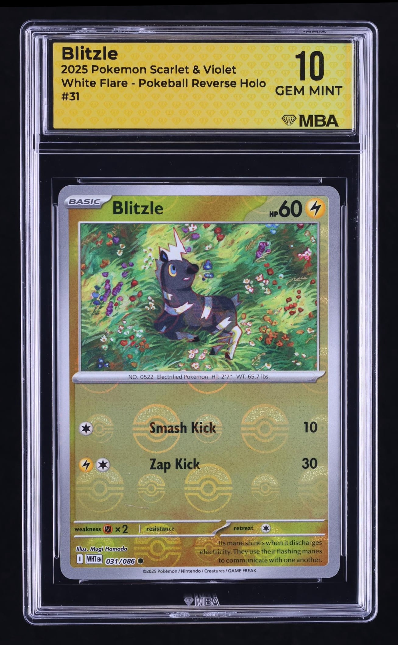 blitzle pokemon card price Pokemon Blitzle