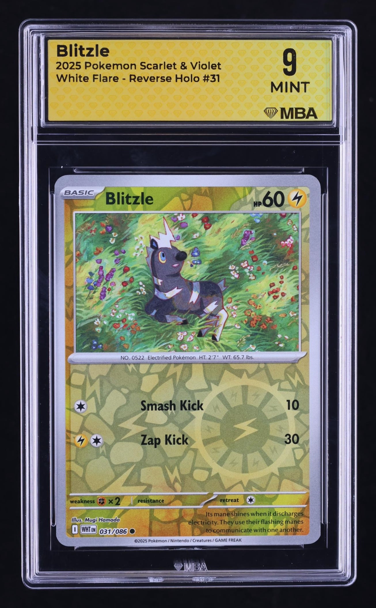 shuppet pokemon card value Shuppet - 067/185 - Common - Reverse Holo - Pokemon Singles  Sword &  Shield Series  POK: Vivid Voltage