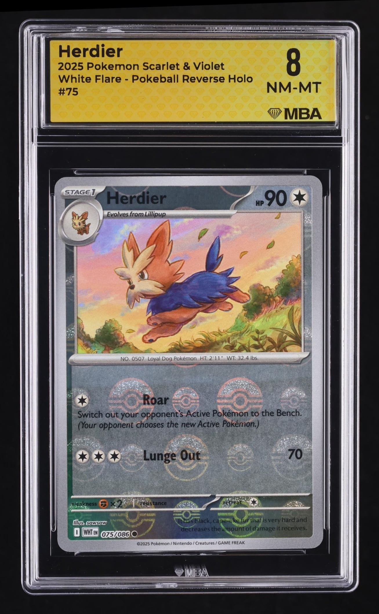 Reverse Pokemon Cards Reverse Pokemon Cards