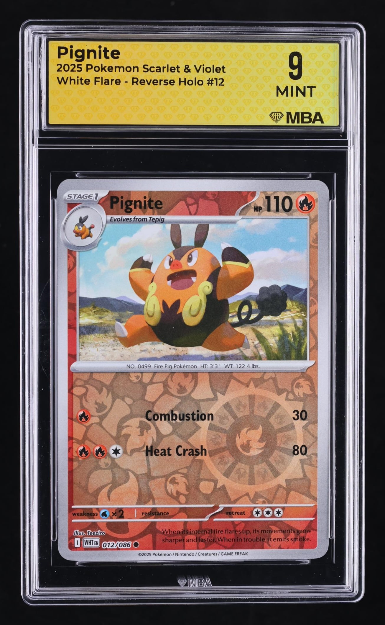 Pokemon I Choose You Pokemon I Choose You