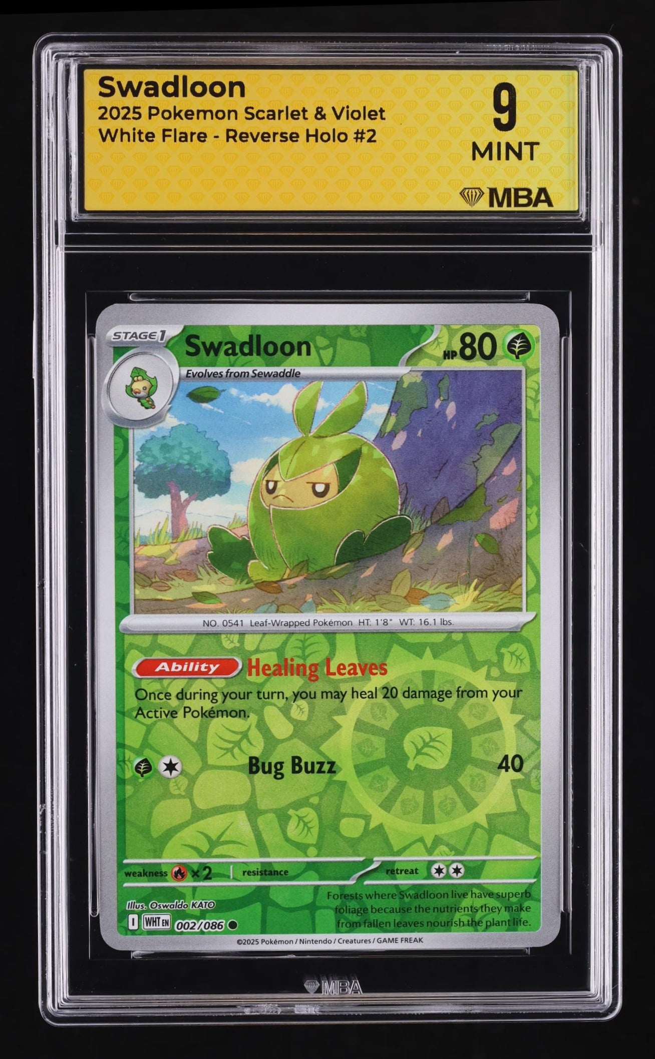 Pokemon I Choose You