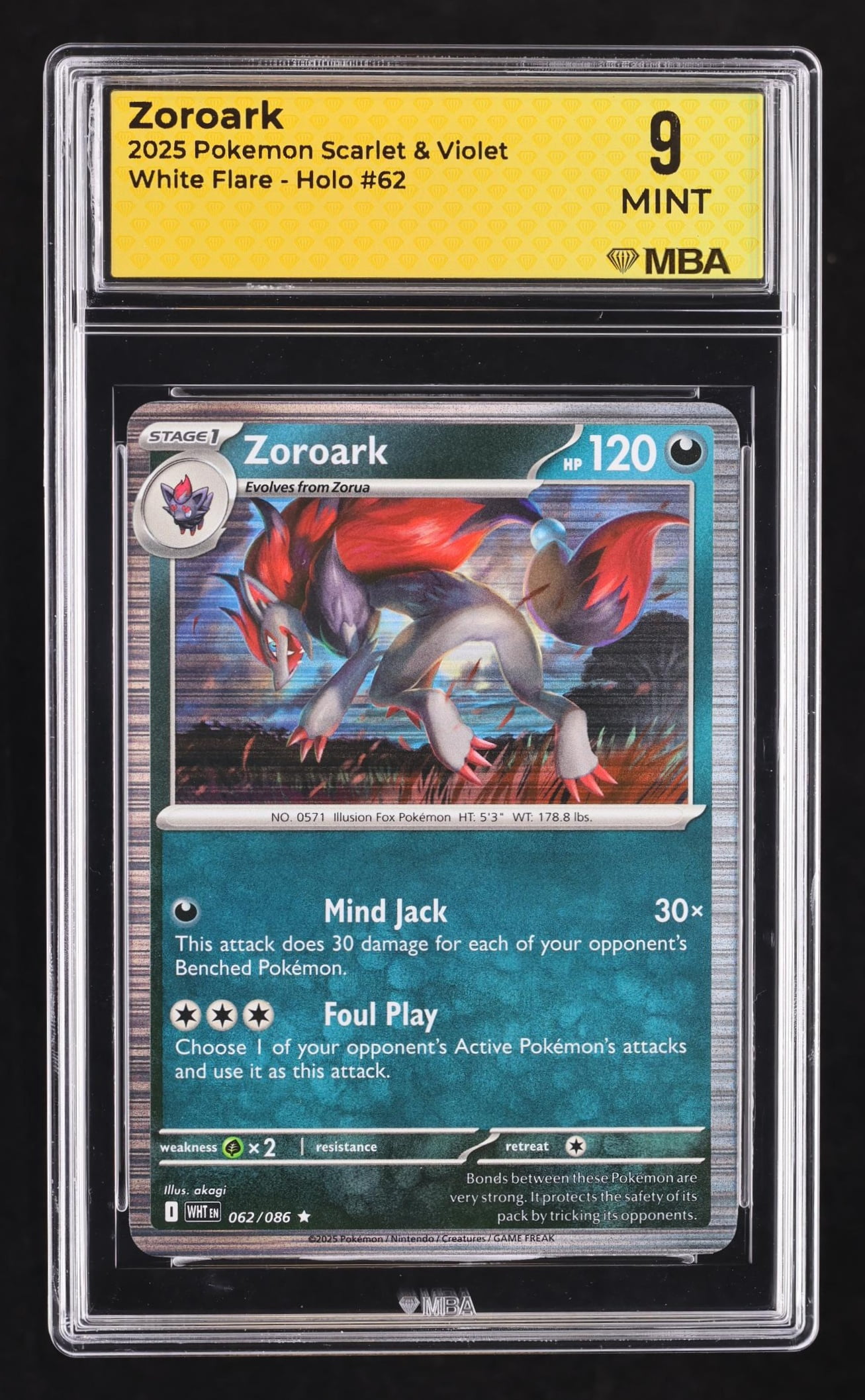 garchomp pokemon cards Amazon.com: N's Zoroark ex 098/159 – Journey Together – Pokemon Double Rare  Card Lot : Toys & Games main image 0