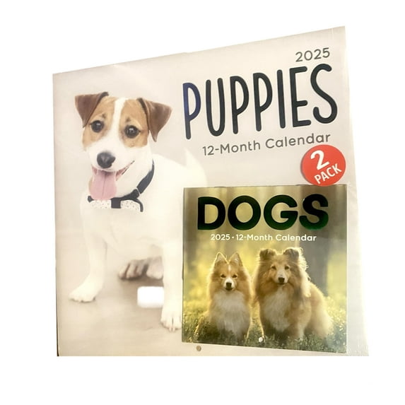 2025 Puppies 12 Month Wall Calendar & Mini Calendar Combo