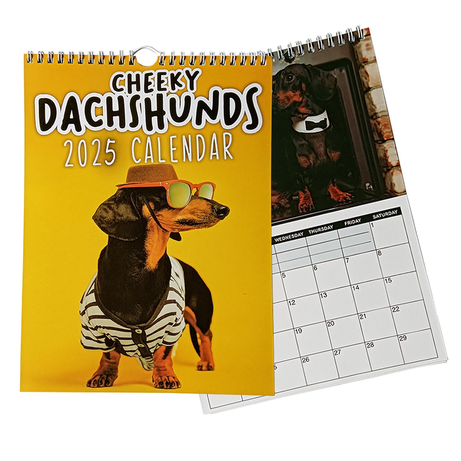 "2025 Sausage Dog Calendar A Year Of Adorable Delights!" "Countdown To