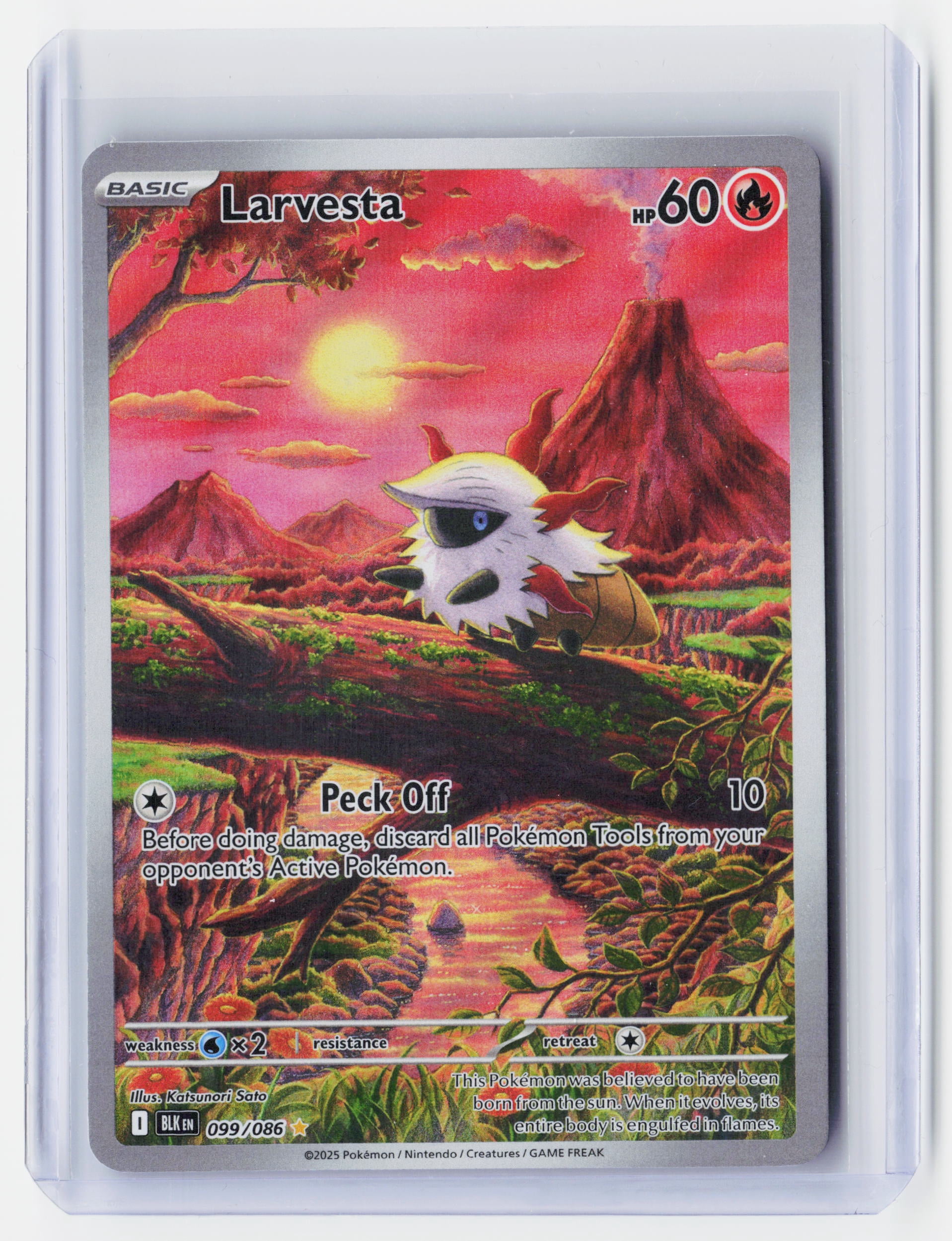 Chikorita Pokemon Card
