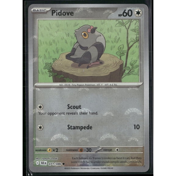 2025 Scarlet & Violet Black Bolt Pidove Holo Poke Ball Pattern #71/86
